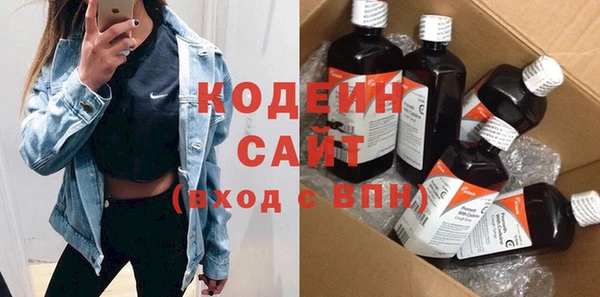 эйфоретик Алзамай