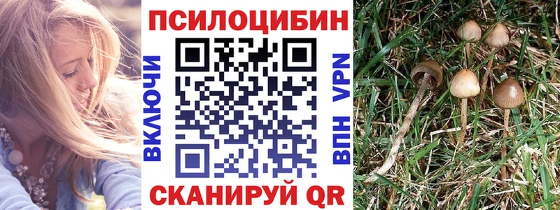 Галлюциногенные грибы GOLDEN TEACHER  купить  цена  ссылка на мегу ССЫЛКА  Жуков 
